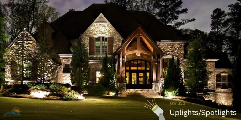 5 Best Solar Uplights For Trees | How To Choose A Solar Uplight?
