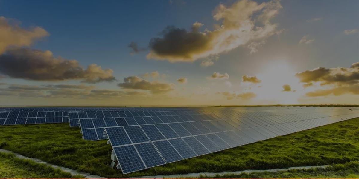 Are Solar Farms Profitable
