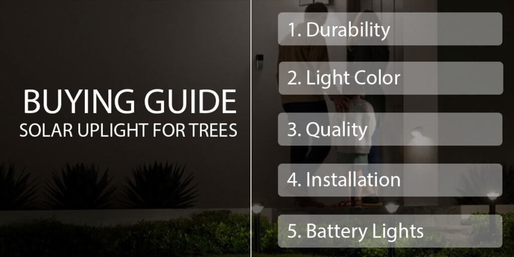 Buying Guide - Solar Uplights For Trees